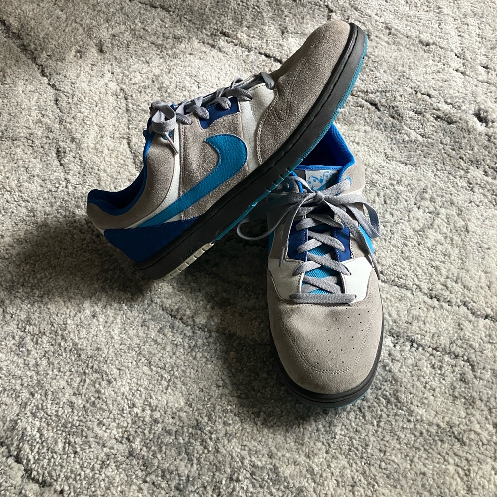 Mens Nike 6.0 Dunk Lows with Leopard accent on heel